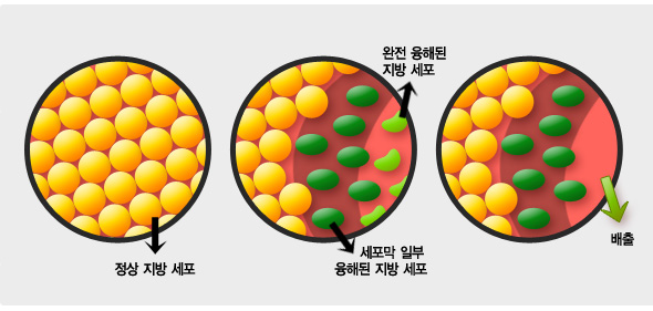 ppc의 원리